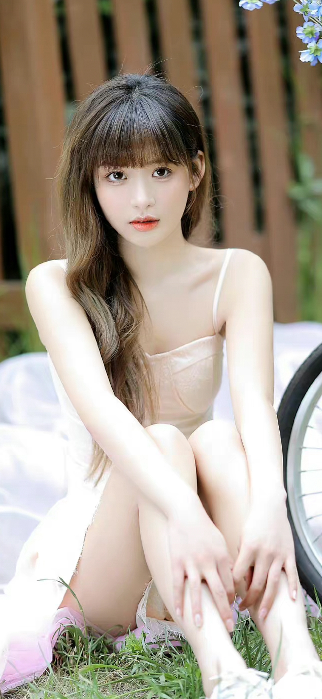 微博免费刷投票软件手机版